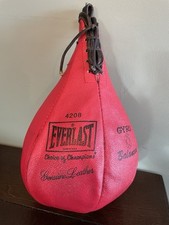 Vintage everlast speed for sale  Lake Orion