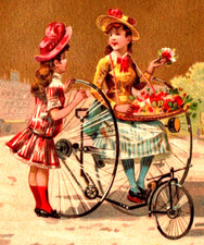 wheel big tricycle girls for sale wheel big tricycle girls for sale Bedford