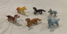 Toy dog puppy for sale  LISKEARD