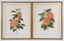 framed floral artwork for sale  Warren