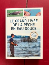 Livre grand livre d'occasion  Pont-l'Abbé