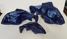 Cobalt garden koi for sale  Roseburg