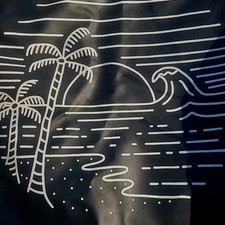 Beach palm tree for sale  Gastonia