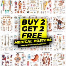 Human anatomy chiropractic for sale  STAINES-UPON-THAMES