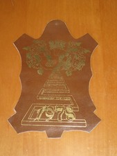 Lederwimpel bsg fortschritt gebraucht kaufen Lederwimpel bsg fortschritt gebraucht kaufen  Halle