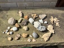 Large selection fossil for sale  KNARESBOROUGH