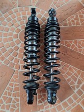 monoammortizzatore triumph usato  Massa