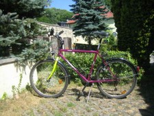 Mountenbike herren basic gebraucht kaufen  Bad Gottleuba-Berggießhübel