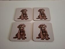 chocolate labrador puppy for sale chocolate labrador puppy for sale WORCESTER
