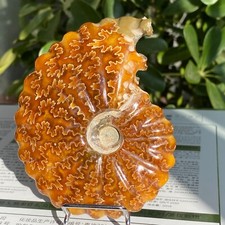 529g top natural d'occasion  Expédié en Belgium