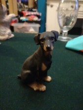 Harvey knox doberman for sale  HALIFAX