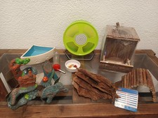 Hamster zwerghamster rennmaus gebraucht kaufen  Cottbus