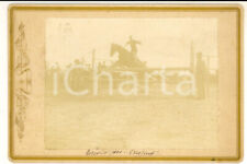 1901 treviso ippica usato  Milano