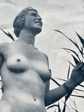 Erotik fotos broschüre gebraucht kaufen  Bad Lobenstein