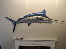 Wall piece taxidermy for sale  New Milford