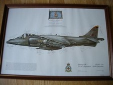 Squadron framed print for sale  TAUNTON