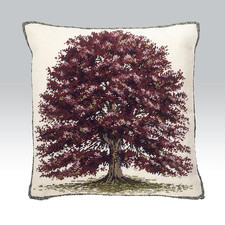 Ehrman copper beech for sale  UK