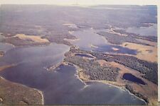 Postal de Minnesota Chippewa National Forest McAvity Bay Walleye Fishing Country, usado segunda mano  Embacar hacia Argentina