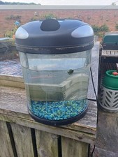 Fish box fish for sale  BLANDFORD FORUM