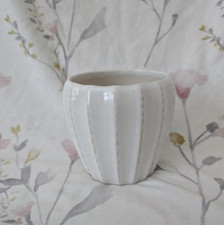 Indoor decorative plant for sale  CLYDEBANK