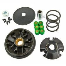 Variatore pinasco completo usato  Brusciano