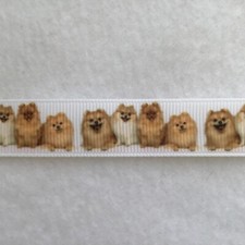 Pomeranian dog grosgrain for sale  Clarkston