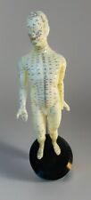 Chinese acupuncture model d'occasion  Expédié en Belgium