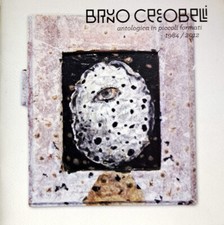 Libro bruno ceccobelli usato  Civitanova Marche