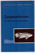 Zwergbuntbarsche kleine datz gebraucht kaufen  Mönchengladbach