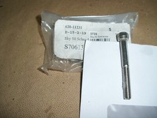 Pegasus, TGB Roller Oryginalna śruba do okładziny tylnego światła 62011231 TGB S70613, używany na sprzedaż Pegasus, TGB Roller Oryginalna śruba do okładziny tylnego światła 62011231 TGB S70613, używany na sprzedaż  Wysyłka do Poland