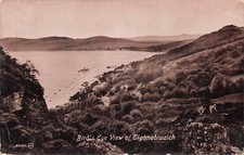Tighnabruaich birds eye for sale  CROWBOROUGH