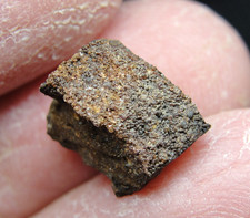 Nwa 4777 meteorite for sale  Hebron