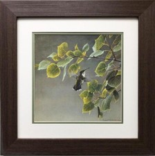 Robert bateman female for sale  Deer Park