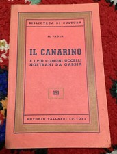 Canarino paola vallardi usato  Prato