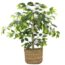 Artificial ficus tree for sale  Broad Brook