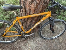 Vintage 1998 specialized for sale  San Clemente
