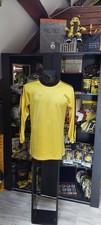 Bvb trikot borussia gebraucht kaufen  Roßwein
