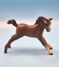 Gorgeous little foal for sale  HENGOED
