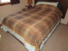 Older alpaca llama for sale  Wichita