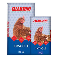 Mangime per gallina usato  Roma