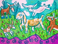Outnumbered nubian goat for sale  Colbert