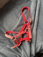 Foal headcollar for sale  MAIDSTONE