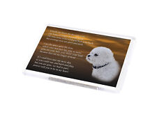 Bichon frise dog d'occasion  Expédié en Belgium