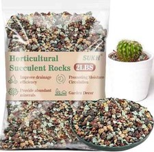 3lbs horticultural succulent for sale  Holland