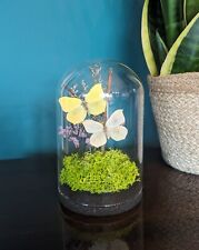 Glasdome glaskuppel schmetterl gebraucht kaufen  Aach, Greimerath, Orenhofen