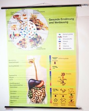 Vintage rollkarte gesunde gebraucht kaufen  Neugersdorf