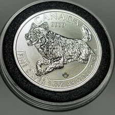2018 canada wolf for sale  Spokane