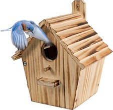 Bird house bird for sale  Denver