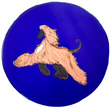 Afghan hound freya for sale  San Francisco