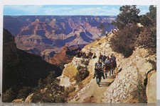 mule train gear for sale  Wilmington